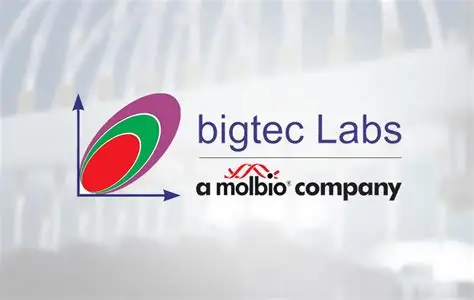Bigtech Lab