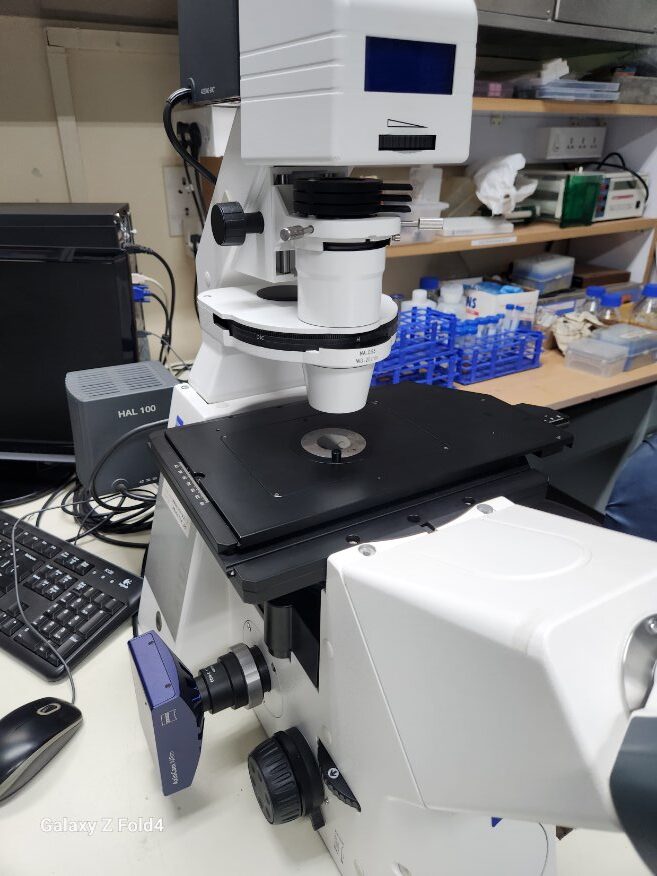 Graphical Abstract image