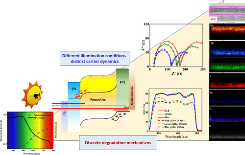 Graphical Abstract image